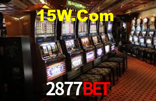 2877Bet