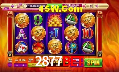 2877Bet - User Statistics